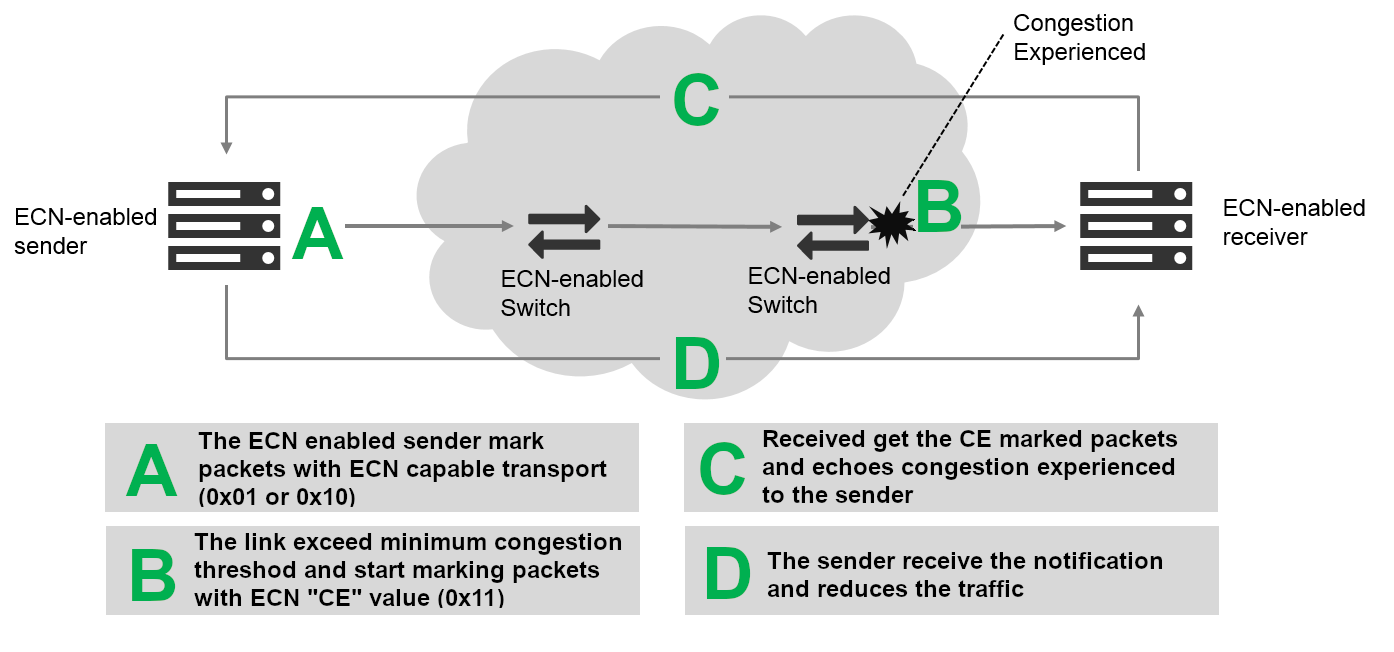 Explicit Congestion Notification