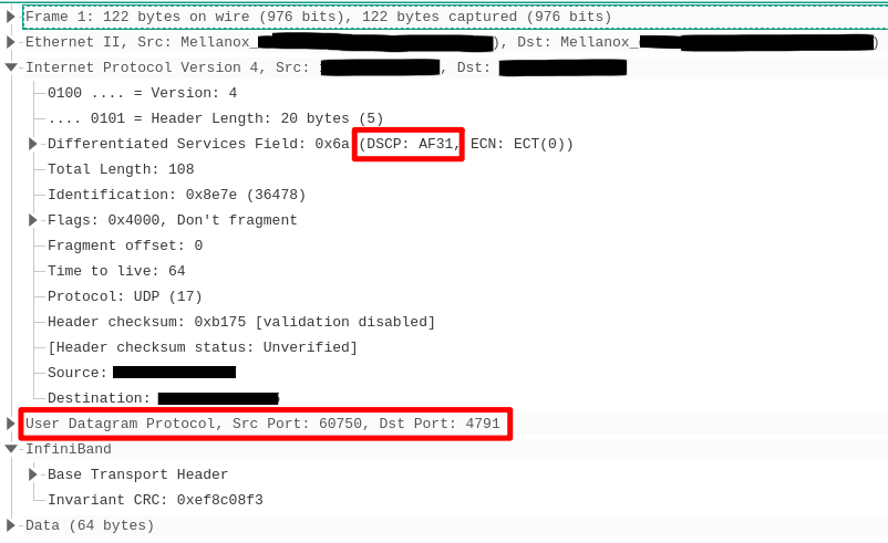 RoCEv2_pcap