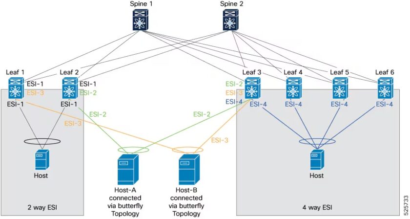 VXLAN EVPN ESI multi-homing on Nexus 9000